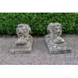 A pair of early 20th century weathered reconstituted stone recumbent lions, raised paws supporting