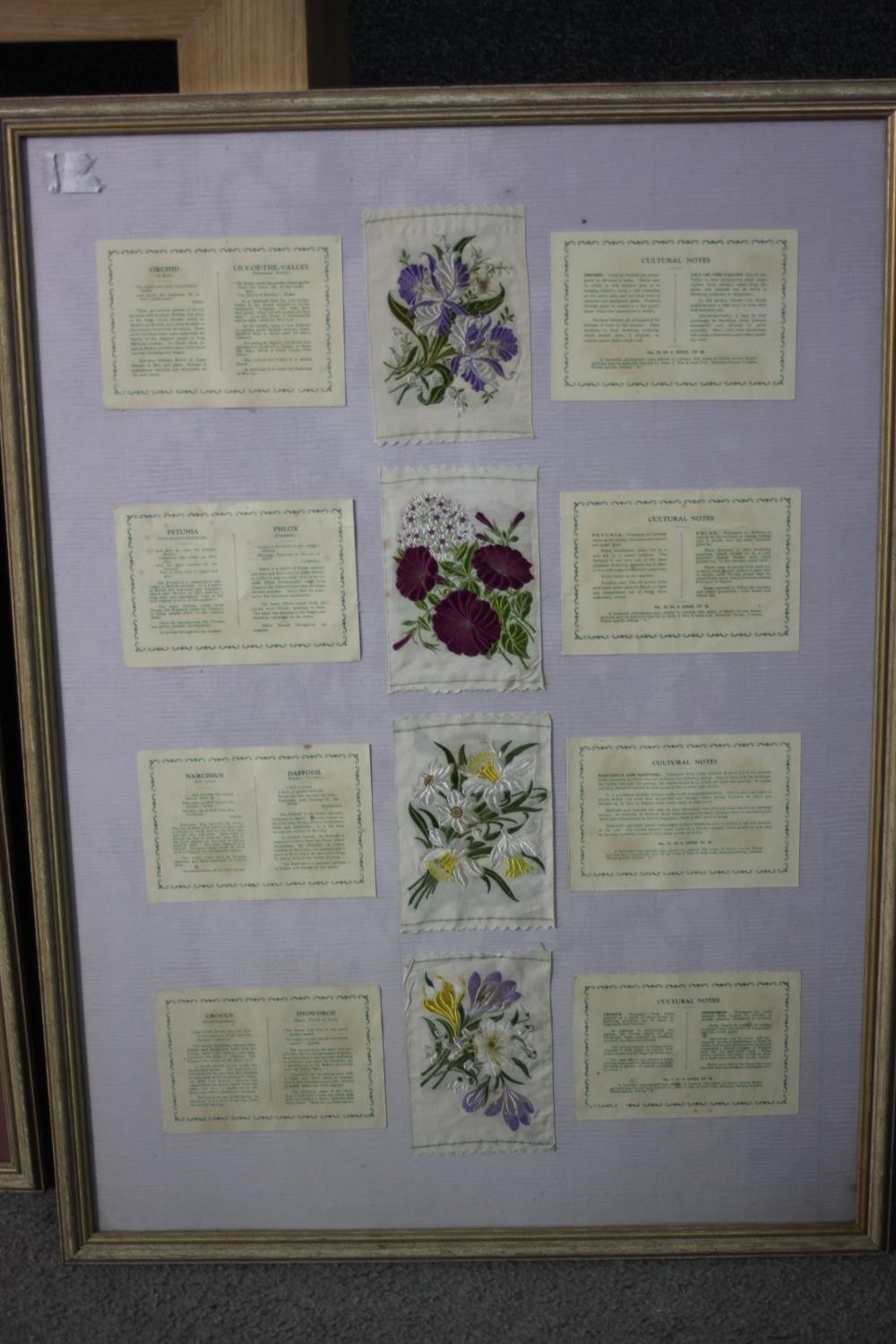 WITHDRAWN - Five framed and glazed collections of antique embroidered silk floral cigarette cards. - Image 6 of 12