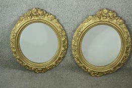 Mirrors, pair 19th century gilt and gesso. H.49 W.40cm.
