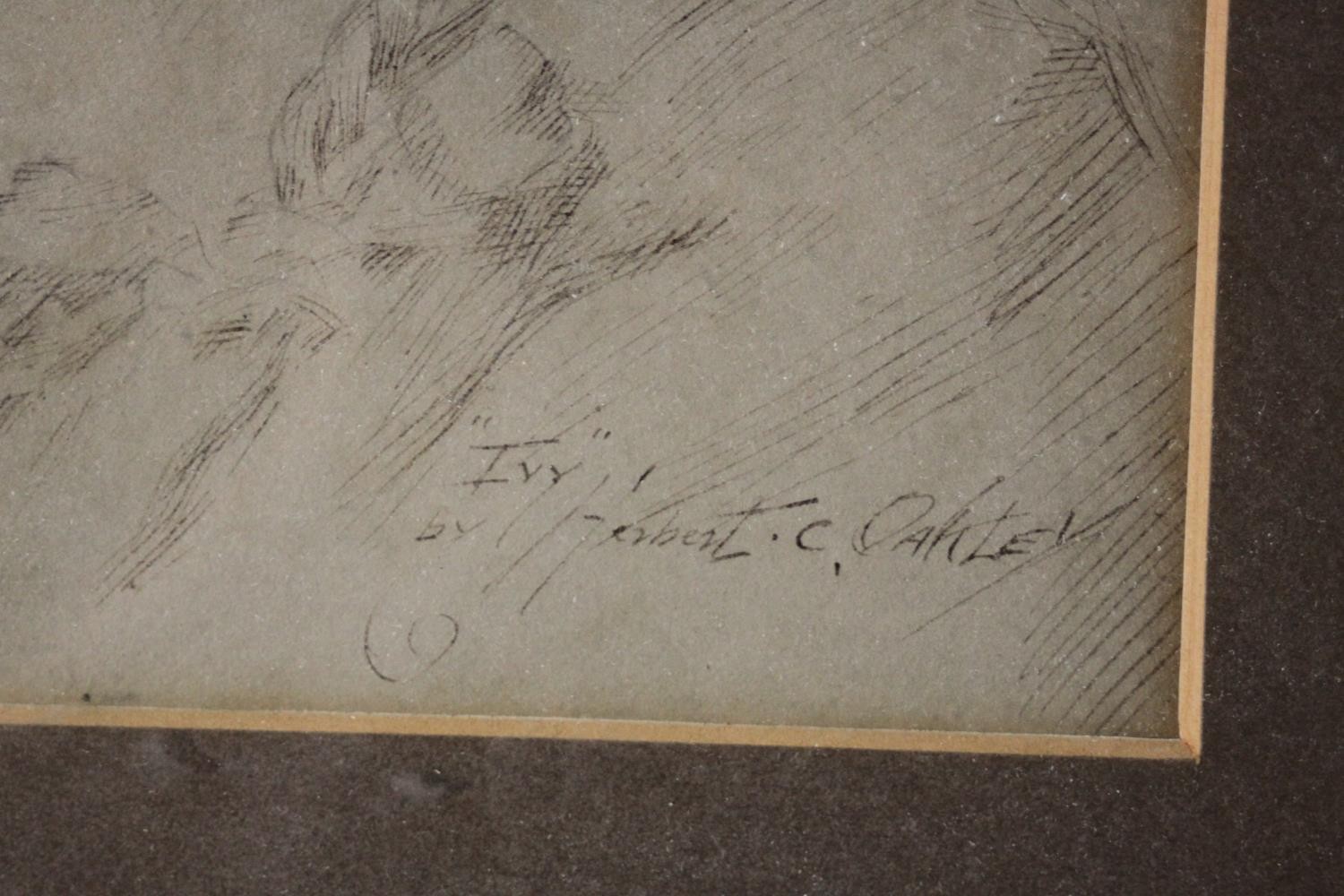 Herbert Colborne Oakley (1869?1944) A framed and glazed ink portrait of a young girl 'Ivy'. Titled - Image 3 of 4