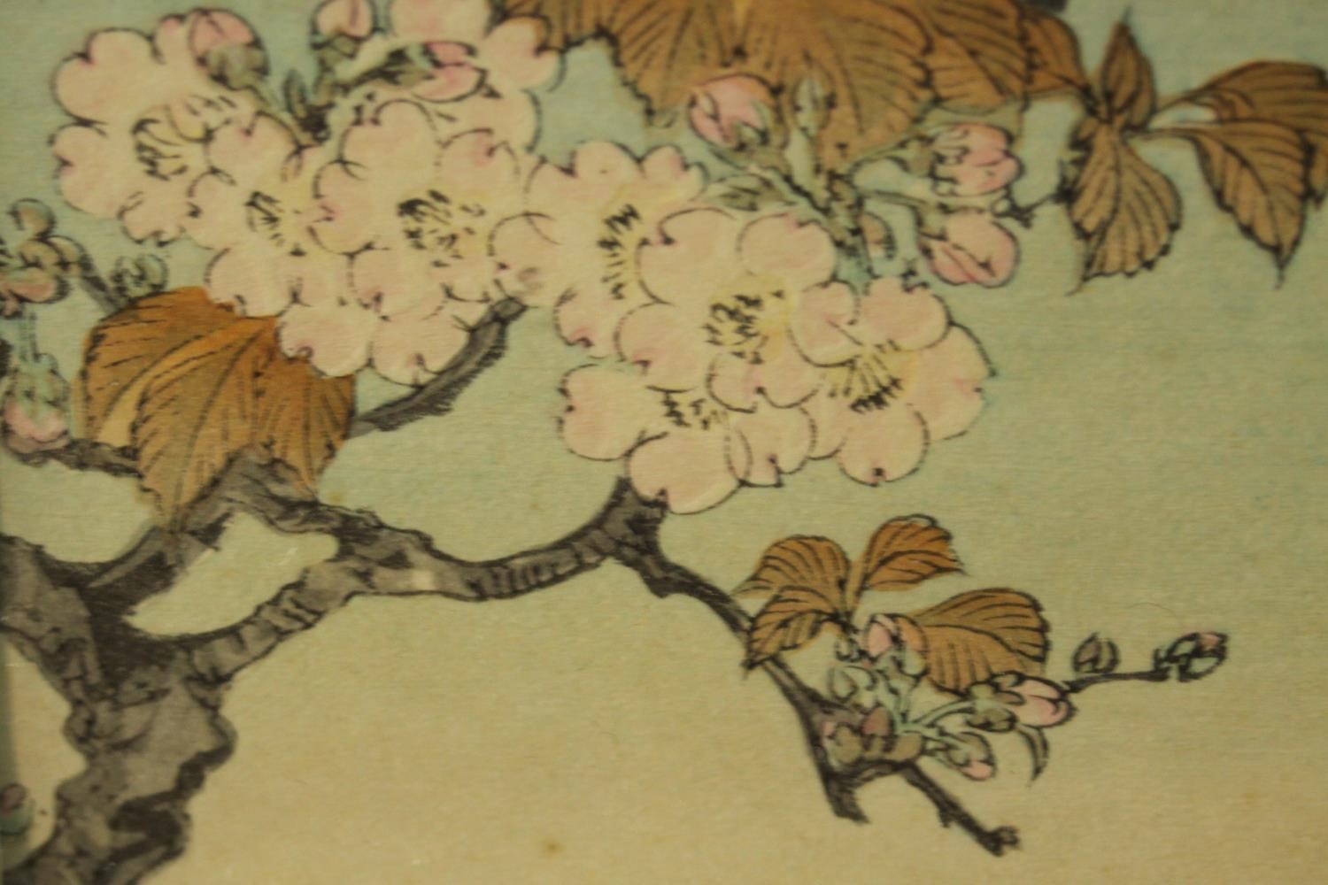 Two framed and glazed 19th century Japanese woodblock prints. One of a goose drinking at a lake - Image 6 of 10