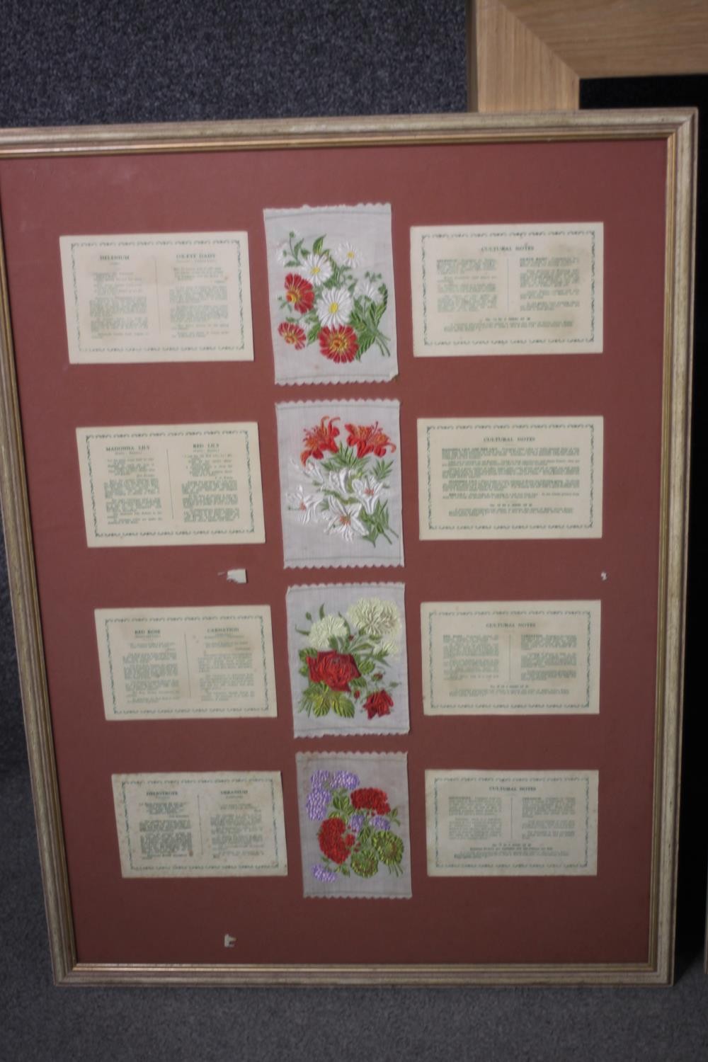 WITHDRAWN - Five framed and glazed collections of antique embroidered silk floral cigarette cards. - Image 4 of 12