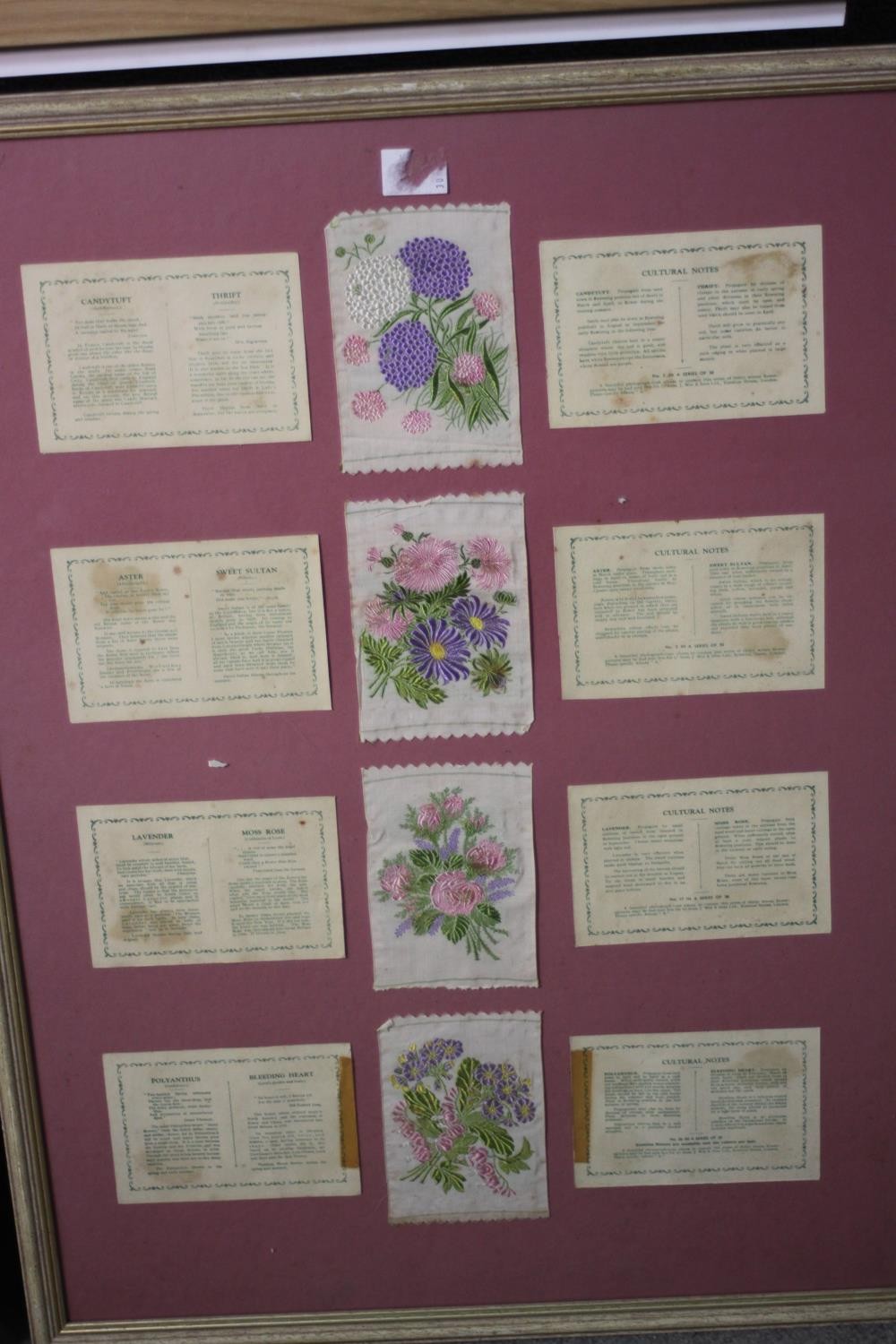 WITHDRAWN - Five framed and glazed collections of antique embroidered silk floral cigarette cards. - Image 5 of 12