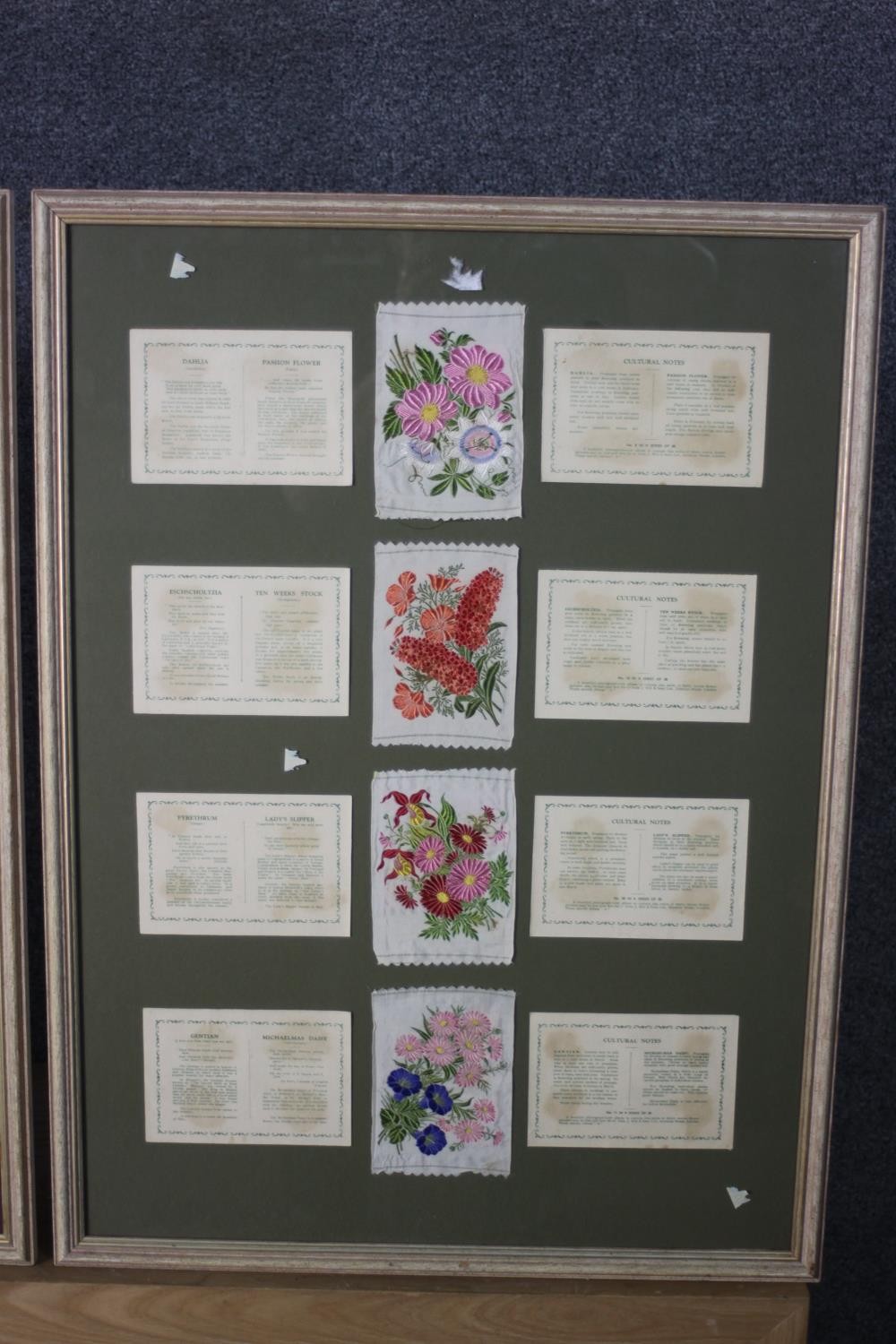 WITHDRAWN - Five framed and glazed collections of antique embroidered silk floral cigarette cards. - Image 2 of 12