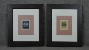 Two framed and glazed abstract leaf skeleton engravings. Monogrammed and numbered. H.64 W.53cm