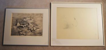 A framed and glazed limited edition etching, conch shells, indistinctly signed along with a framed
