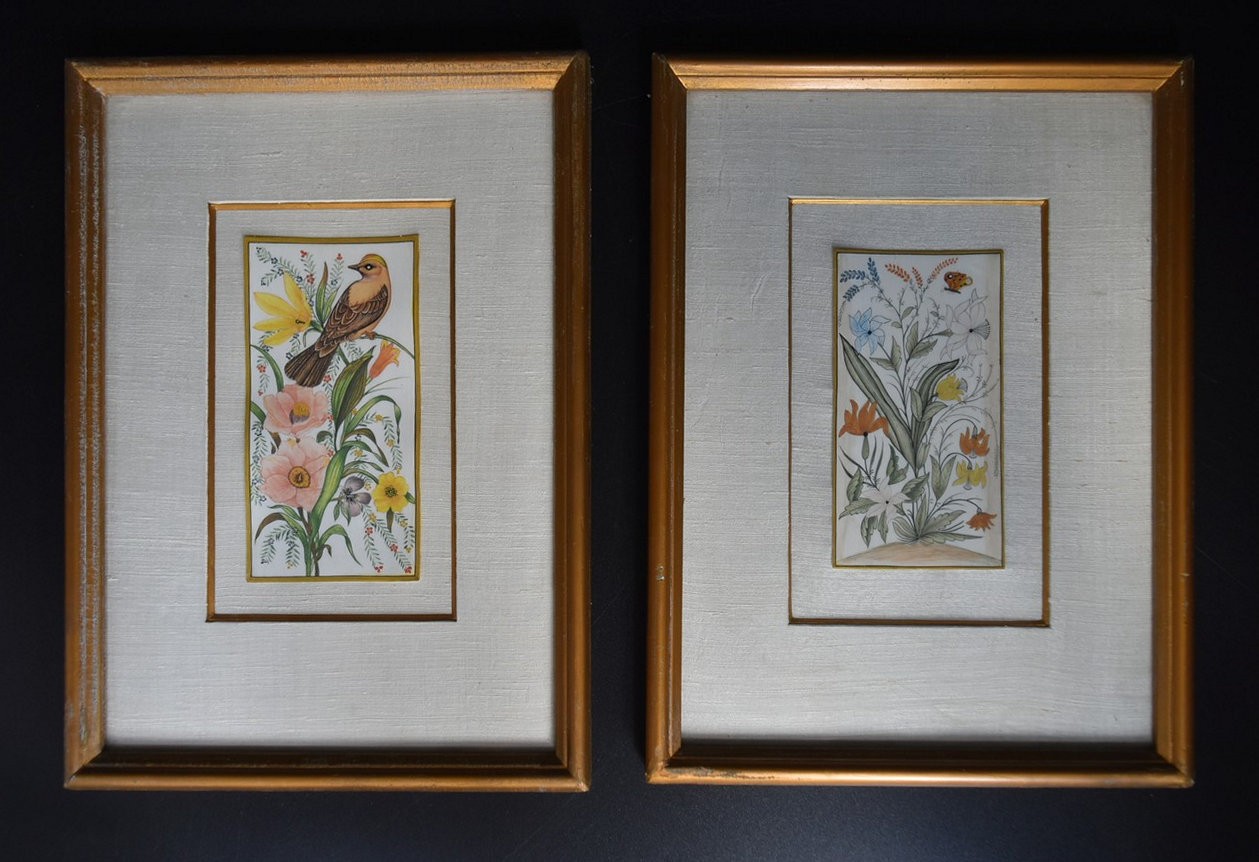 A pair of framed and glazed paintings, exotic birds and flowers. H.28cm W.21cm