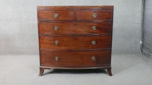 Chest of drawers, Georgian mahogany and satinwood strung bow fronted on swept supports. H.100 W.