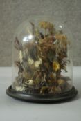 A Victorian taxidermy display of birds and insects under a glass display dome with ebonised base.