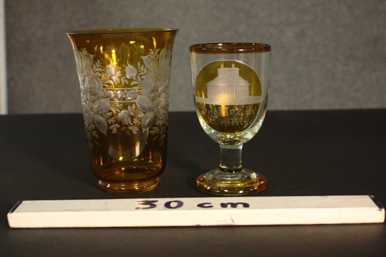 Two early 20th century Bohemian glass pieces. An amber painted clear glass etched rummer with a - Image 2 of 7