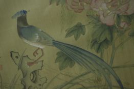 A gilt bamboo design framed and glazed 20th century Chinese watercolour on silk of a pheasant on a