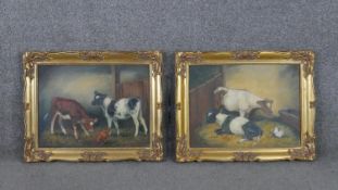 A pair of gilt framed oils on canvas of cows in a barn. Signed Elizabeth Ansell H.40 W.50cm