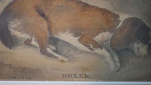 A 18th century framed and glazed watercolour of a sleeping dog, titled 'Boxer', died 13th of