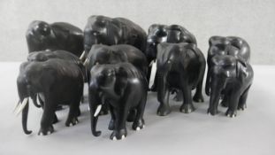 A collection of ten early 20th century carved ebony elephants, some with bone tusks. H.25 W.27cm (
