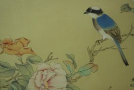 A gilt framed and glazed 20th century Chinese watercolour on silk of song bird with peonies, with