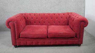 A two seater pink velour Chesterfield sofa, with a buttoned back and arms, on turned feet. H.77 W.