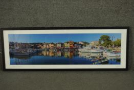 A framed and glazed photograph of Cassis marina. Indistinctly signed. H.40 W.113cm.