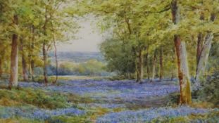 Henry John Sylvester Stannard (British 1870-1951), bluebells in woodland, watercolour, signed