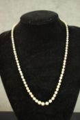 A cultured pearl and diamond necklace. The graduated row of 6.87mm-3.16mm cultured pearls to an