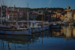 A framed and glazed photograph of Cassis marina. Indistinctly signed. H.40 W.113cm.