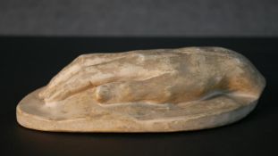 A 19th century plaster cast of a hand possibly Felix Mendelssohn. H.5 W.23 W.14cm