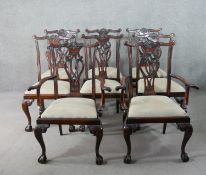 A set of eight Chippendale style mahogany dining chairs, including two carvers and six side