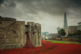 A framed and glazed photograph of The Tower of London poppies. H.50 W.60cm.