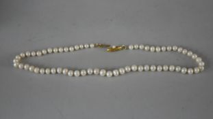 A graduated knotted string of pearls with 18 carat yellow gold Pearl set hook and push clasp.