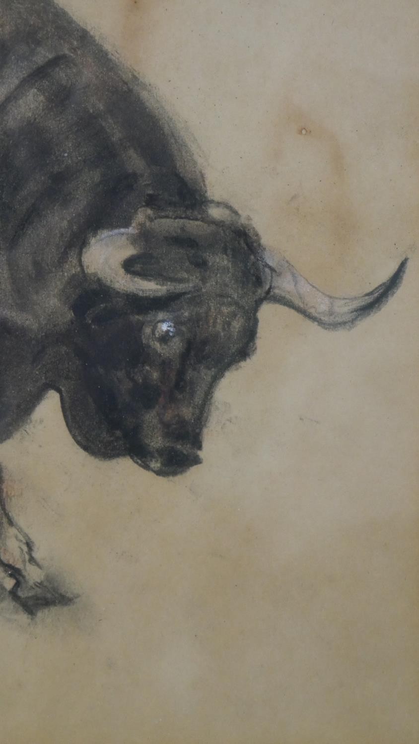 Raoul Millais, British (1901 - 1999), pastel on paper, 'Fighting Bull', signed, name plaque and - Image 5 of 10