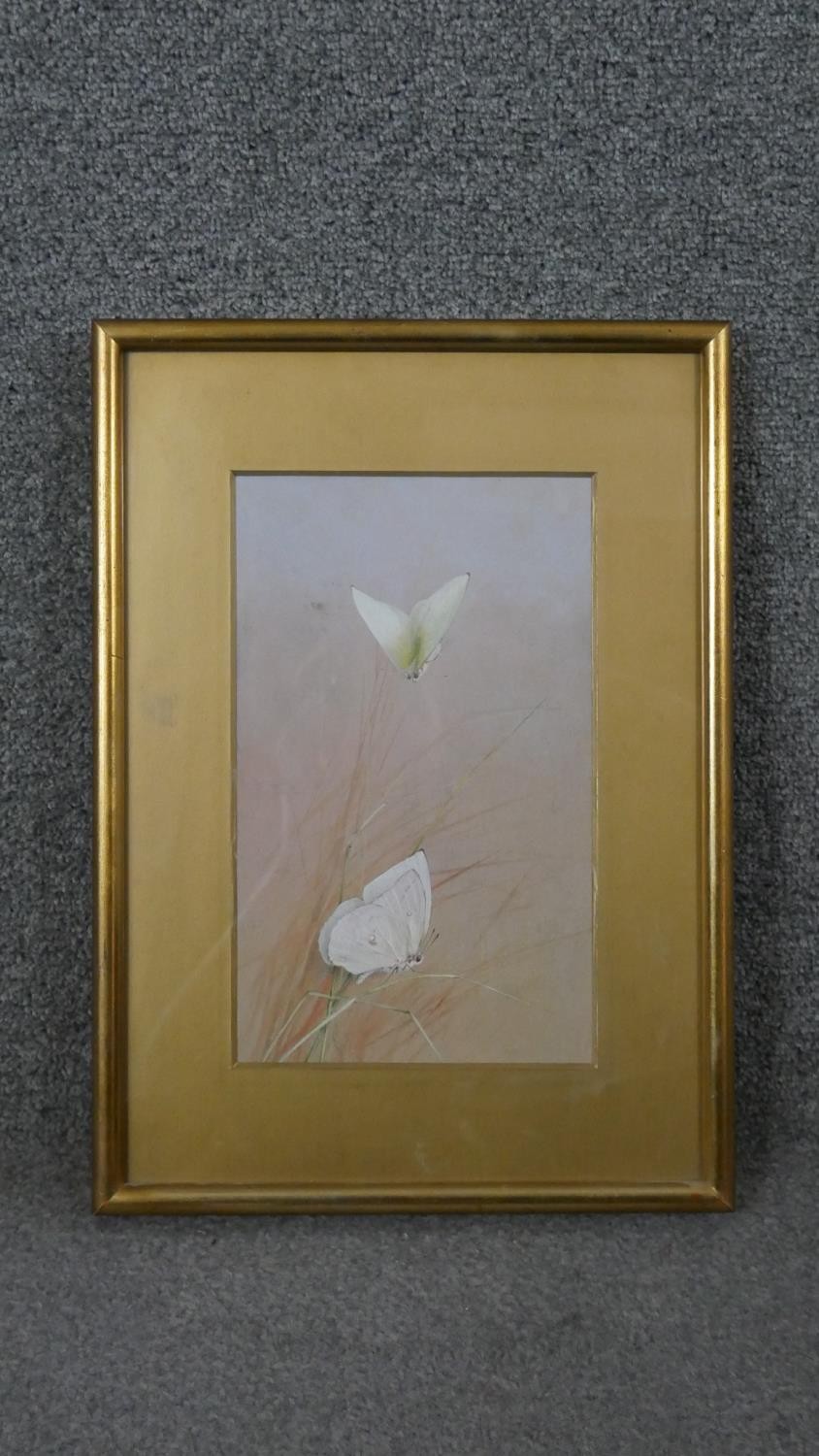 A framed and glazed watercolour of white butterflies on grasses, unsigned. H.40 W.29cm - Image 2 of 4