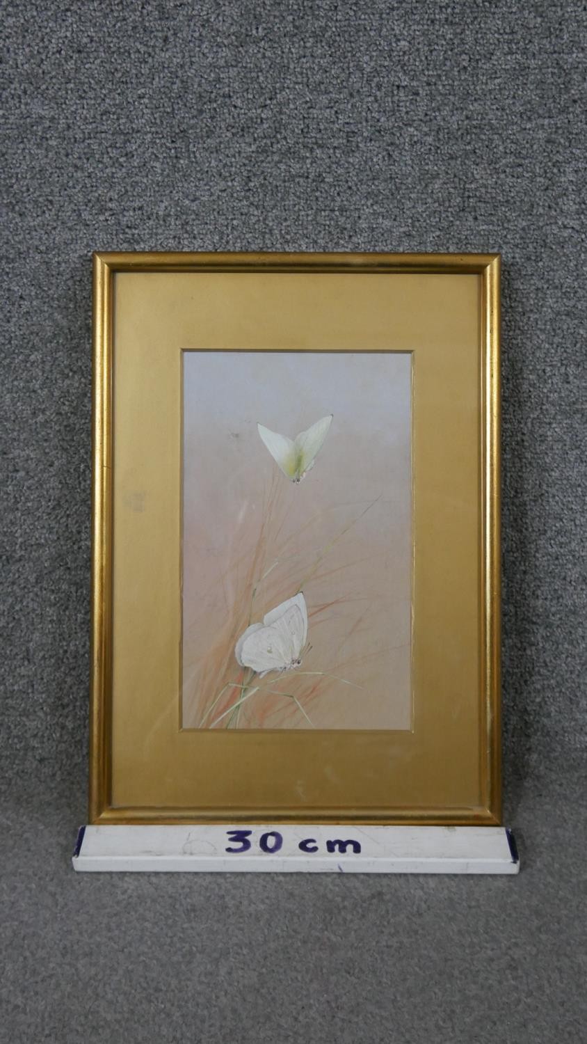 A framed and glazed watercolour of white butterflies on grasses, unsigned. H.40 W.29cm - Image 3 of 4