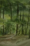 A framed and glazed watercolour, leafy glade, signed Mary Loran, label to reverse. H.47 40cm.