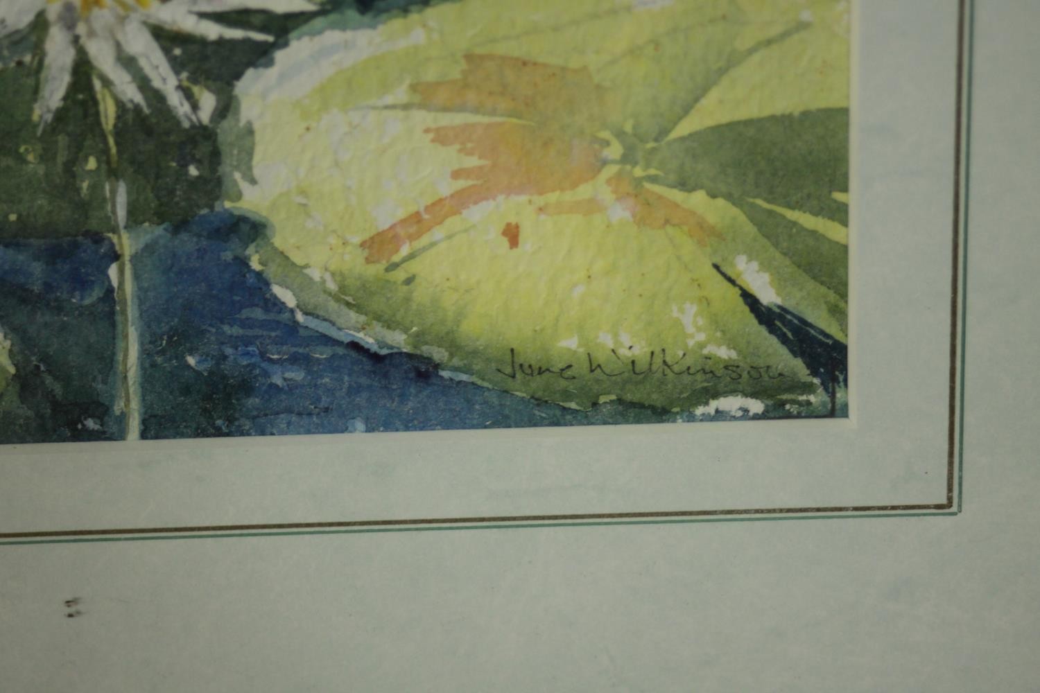 A framed and glazed watercolour, water lillies, signed June Wilkinson. H.50 W.59cm. - Image 4 of 7