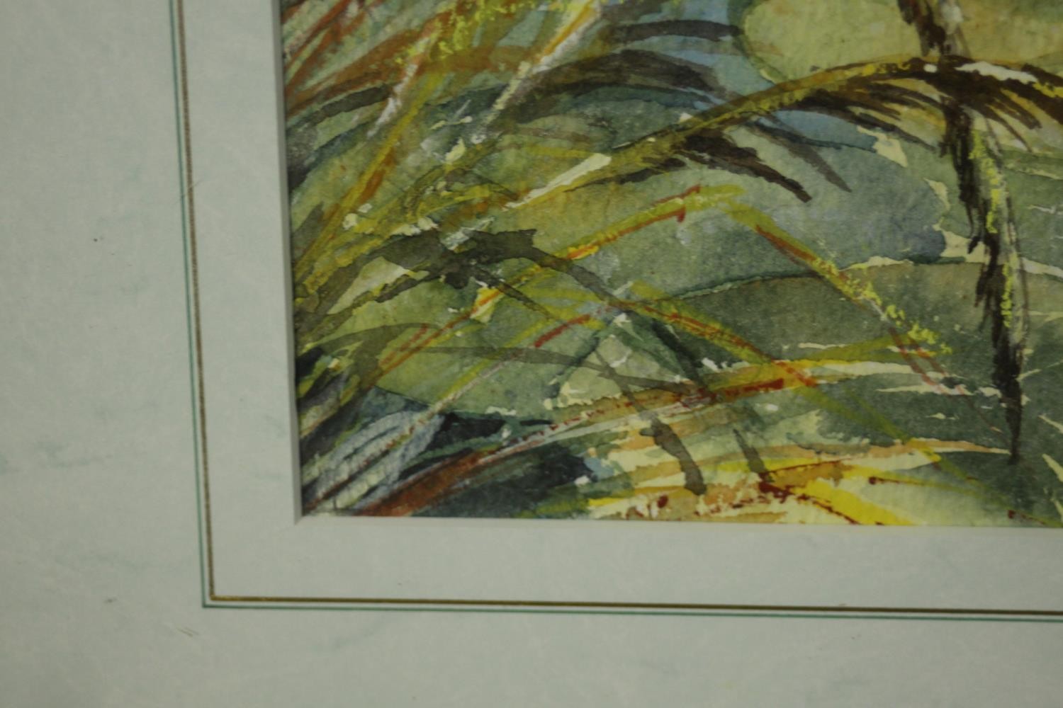 A framed and glazed watercolour, water lillies, signed June Wilkinson. H.50 W.59cm. - Image 5 of 7