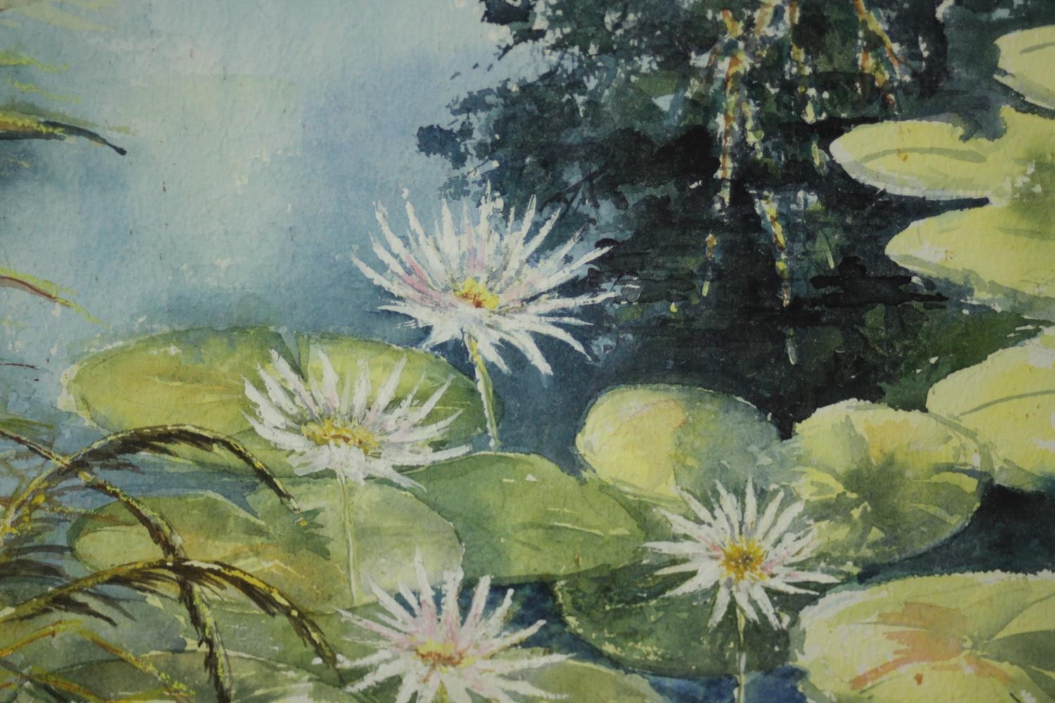 A framed and glazed watercolour, water lillies, signed June Wilkinson. H.50 W.59cm.
