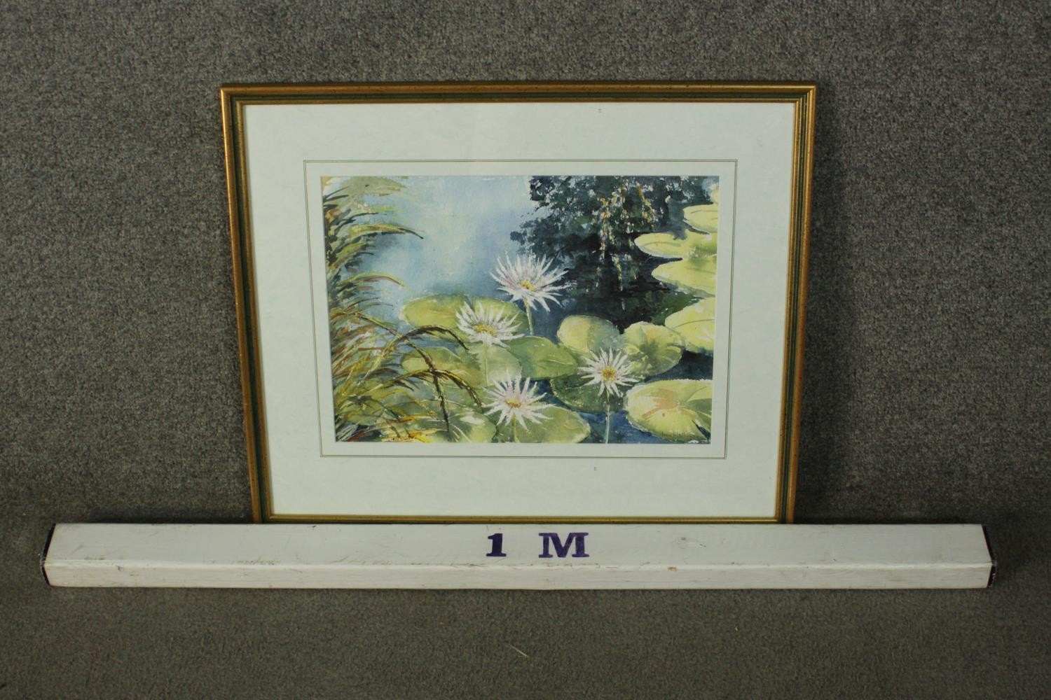 A framed and glazed watercolour, water lillies, signed June Wilkinson. H.50 W.59cm. - Image 3 of 7
