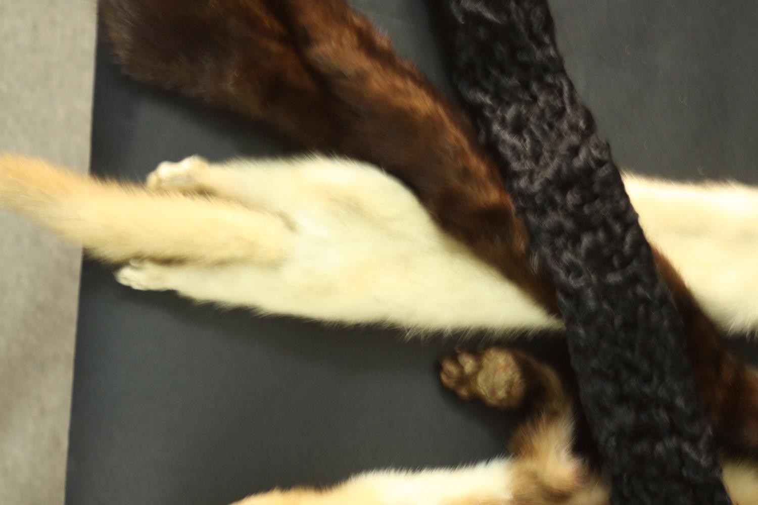 A collection of nine pieces of fur, faux fur and Afghan lambs wool. Including one hat and various - Image 5 of 6