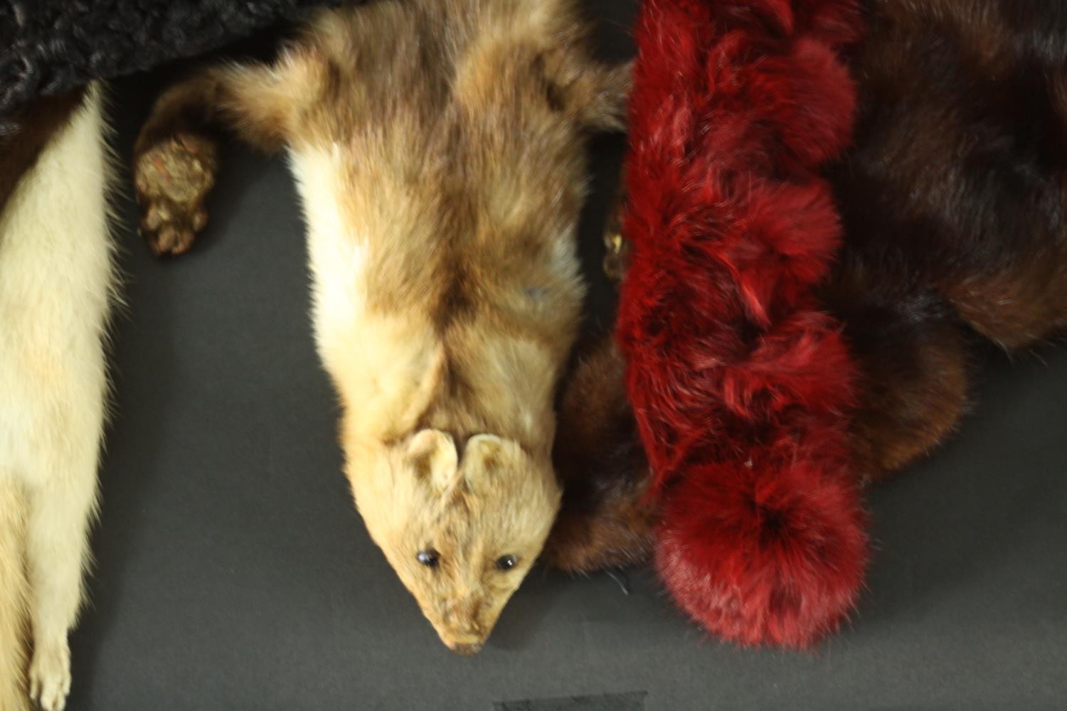 A collection of nine pieces of fur, faux fur and Afghan lambs wool. Including one hat and various - Image 4 of 6