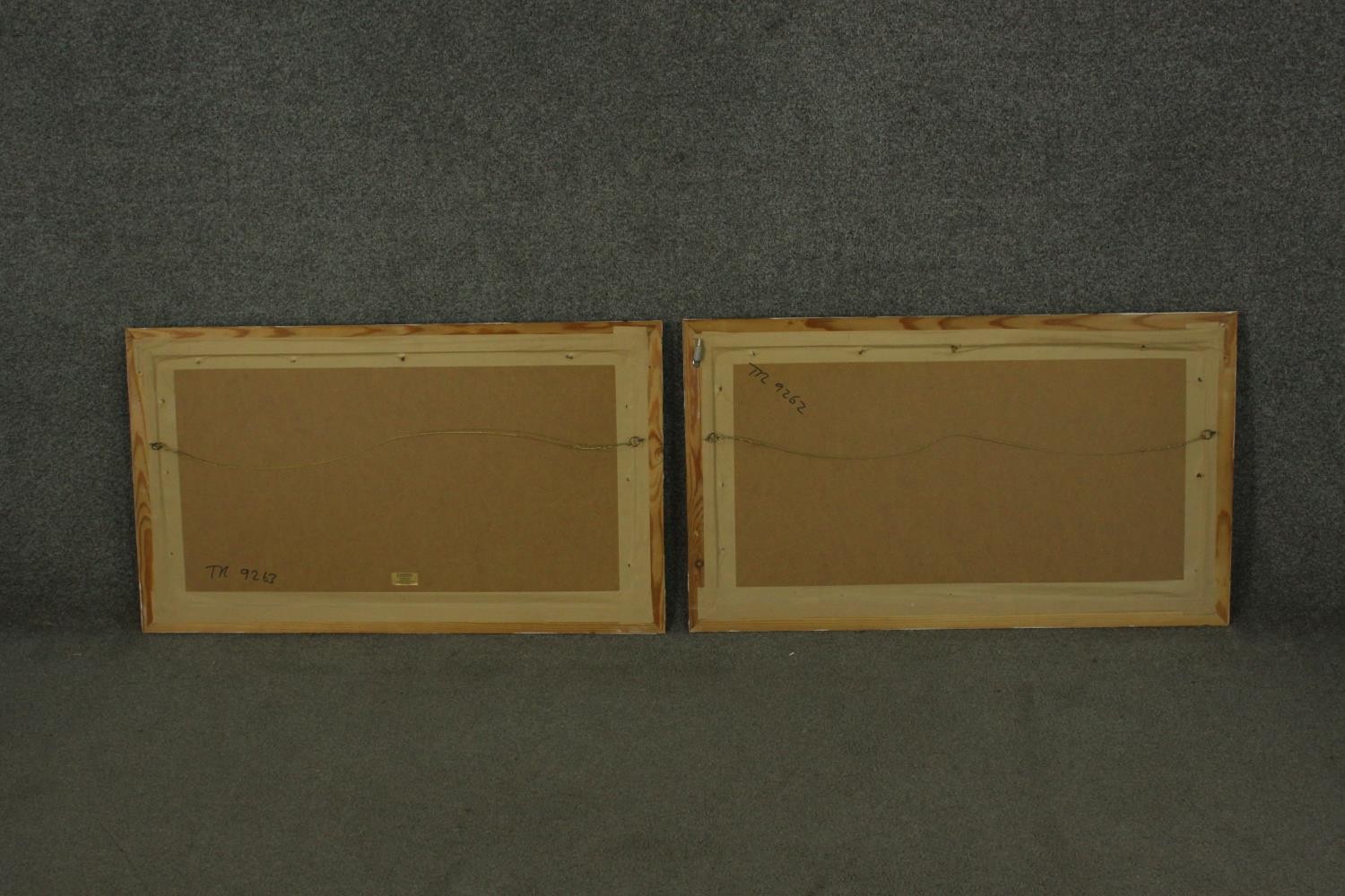 Two framed and glazed sets of three 19th century hand coloured engravings of parrot species, each - Image 10 of 10