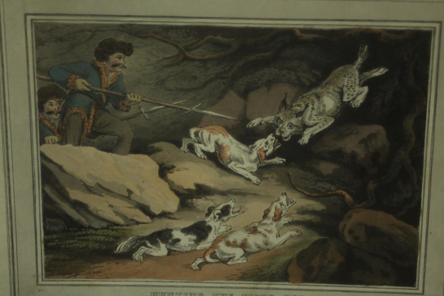 A collection of five framed and glazed 19th century hand coloured engravings. Three of tropical - Image 5 of 8