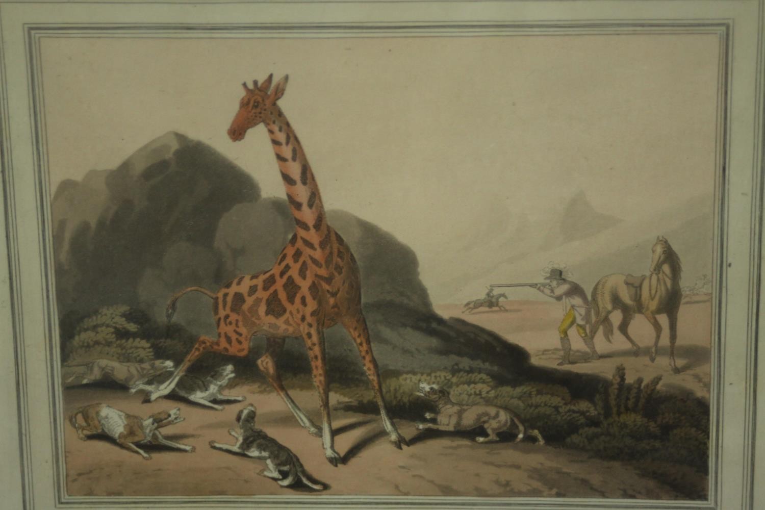 A collection of five framed and glazed 19th century hand coloured engravings. Three of tropical - Image 3 of 8