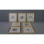 Jules Boilly (b. 1796 - 1874), seven framed and glazed hand coloured 18th century engravings, signed