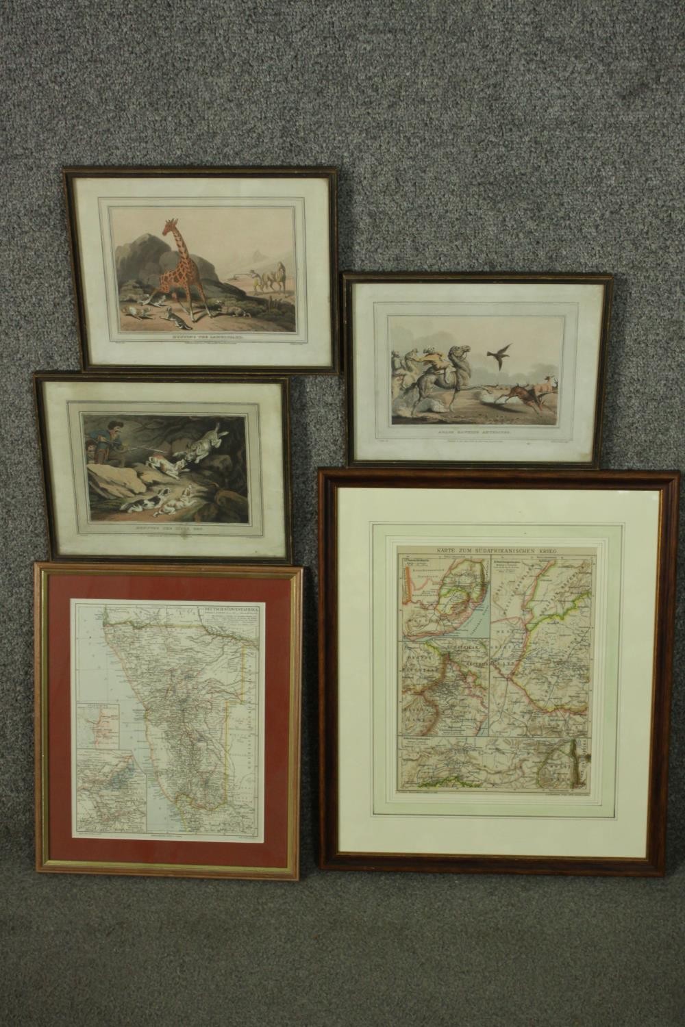 A collection of five framed and glazed 19th century hand coloured engravings. Three of tropical