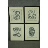 Four framed and glazed 19th century engravings of various species of snakes with their Latin