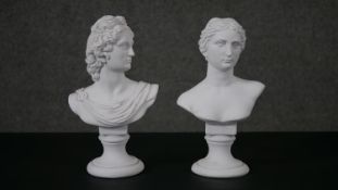 Two composite marble busts of famous classical figures, one of Apollo and one of Venus de Milo. H.26