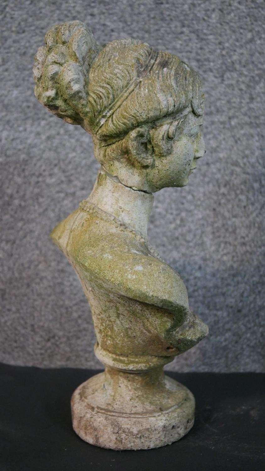 A composite bust of a young female with her hair up on a pedestal base. (head repaired) H.35 W.20cm - Image 8 of 8