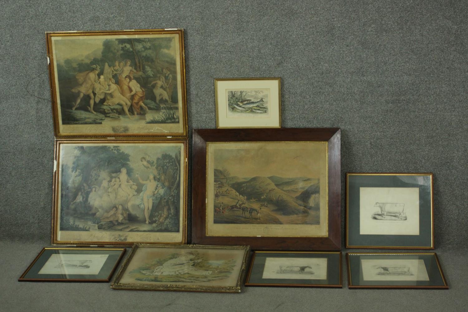 A collection of nine 19th century hand painted engravings of various subjects, including cows and