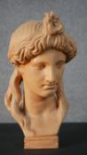 A terracotta bust of a classical female figure. H.39 W.22cm