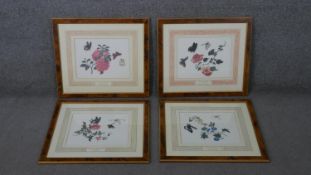 Four limited edition prints of flowers and insects from The Reeves Collection of Chinese
