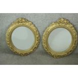 Mirrors, pair 19th century gilt and gesso. H.49 W.40cm.